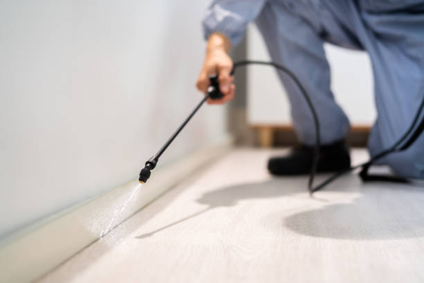 Licensed Cockroach Control service in Schaumburg, IL - Nex Pest Control