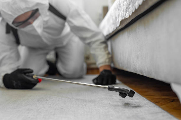 Professional Cockroach Control technician working in Schaumburg, IL