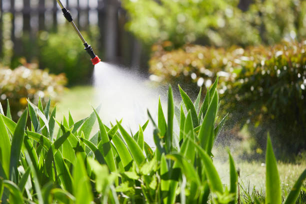 24/7 Emergency Cockroach Control experts in Schaumburg, IL