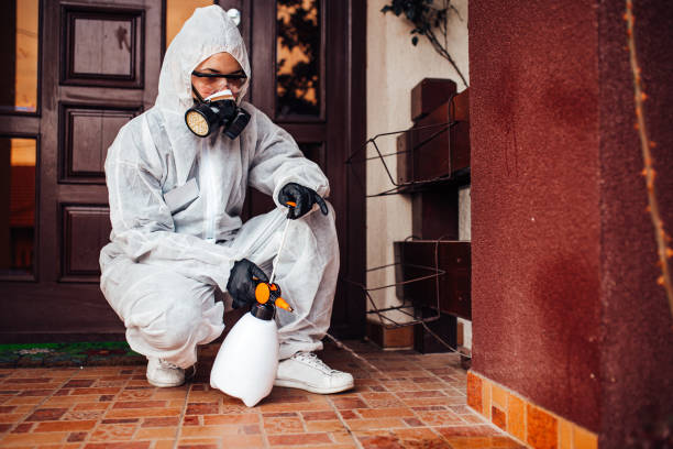 Reliable Cockroach Control contractor in Schaumburg, IL by Nex Pest Control