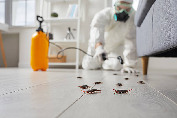 Trusted Cockroach Control service in Schaumburg, IL - Nex Pest Control