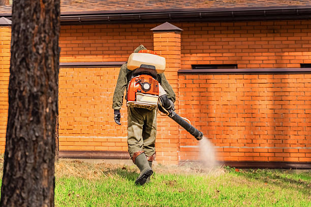 Trusted Termite Control service in Schaumburg, IL - Nex Pest Control